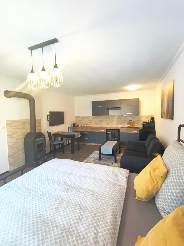 Apartment 1kk Zlamanka Kromeriz